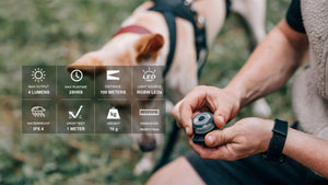 Olight GOBER Safety Light