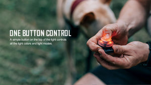 Olight GOBER Safety Light