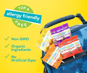 Yum Earth Organic Vitamin C Pops Family Bag