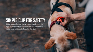 Olight GOBER Safety Light