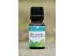 Spearmint Essential Oil